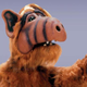 Mr. Shumway, I presume.